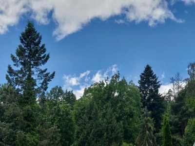 Apartment Apartment in Armsfeld mit Pool - Environment photo 31