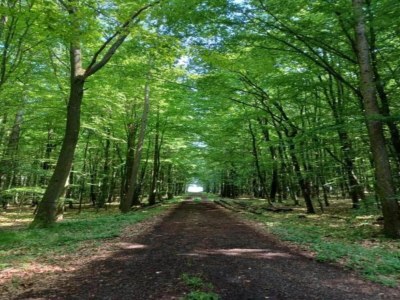 Holiday house Ferienhaus in Homberg bei Wassmuthshausen - Environment photo 23