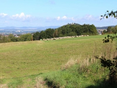 Holiday house Ferienhaus in Homberg bei Wassmuthshausen - Environment photo 24
