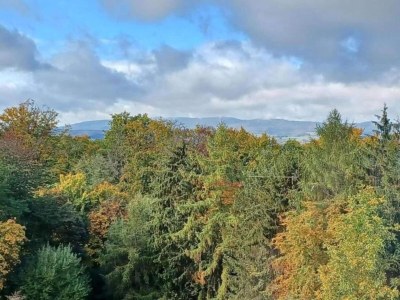 Holiday house Ferienhaus in Homberg bei Wassmuthshausen - Environment photo 35