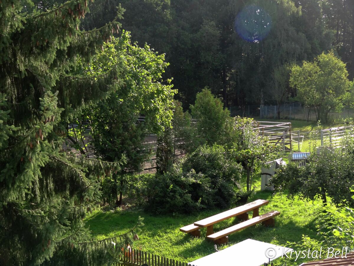 Holiday house hundefreundliches Gruppenhaus in Hessen mit Garten - Outdoor photo 5