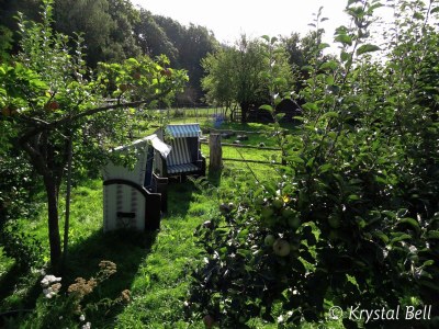 Holiday house hundefreundliches Gruppenhaus in Hessen mit Garten - Outdoor photo 3