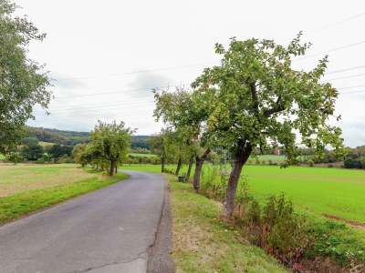 Holiday house hundefreundliches Gruppenhaus in Hessen mit Garten - Environment photo 36