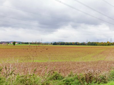 Holiday house hundefreundliches Gruppenhaus in Hessen mit Garten - Environment photo 37