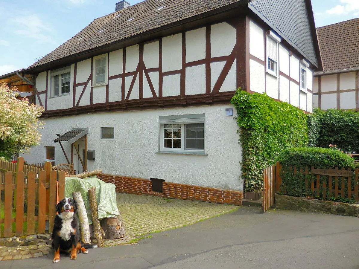 Apartment Wohnung in Leuderode beim Wildpark