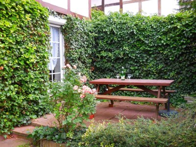 Apartment Wohnung in Leuderode beim Wildpark - Outdoor photo 8