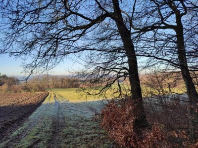 Apartment Wohnung in Leuderode beim Wildpark - Environment photo 34