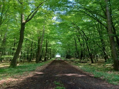 Apartment Wohnung in Leuderode beim Wildpark - Environment photo 38