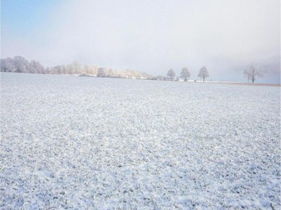 Apartment Wohnung in Densberg nahe Kellerwald - Environment photo 38
