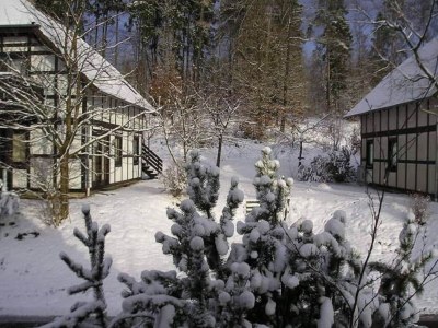 Holiday house Chalet in Frankenau nahe Skipisten & Edersee - Outdoor photo 7