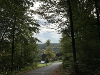 Holiday house Holiday home in Reimboldshausen with balcony - Environment photo 15