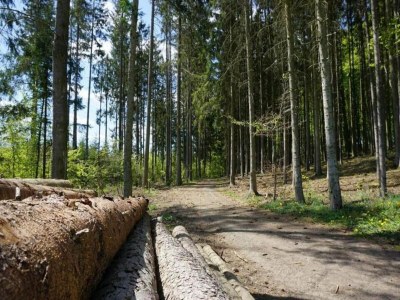 Holiday house Holiday home in Reimboldshausen with balcony - Environment photo 19
