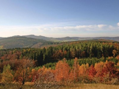Holiday house Holiday home in Reimboldshausen with balcony - Environment photo 24