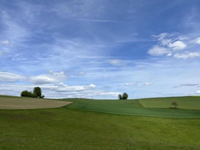 Holiday house Holiday home in Reimboldshausen with balcony - Environment photo 29