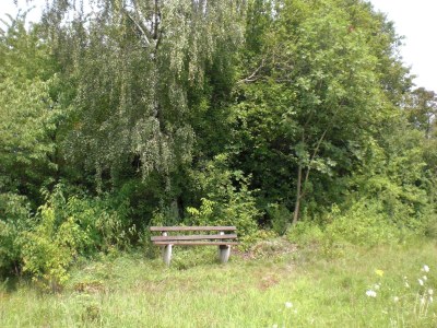 Holiday house Dog-friendly holiday home in the Knüll - Environment photo 17