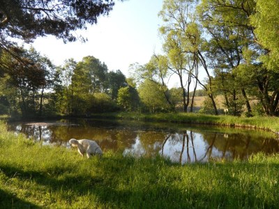 Holiday house Dog-friendly holiday home in the Knüll - Outdoor photo 24
