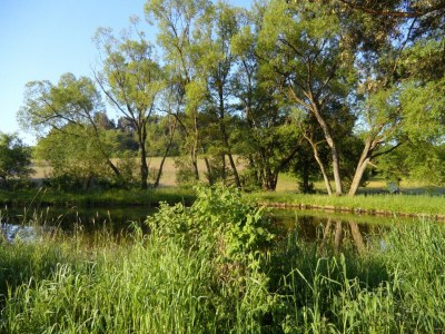 Holiday house Dog-friendly holiday home in the Knüll - Outdoor photo 25