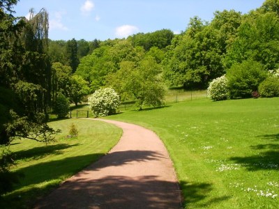Apartment holiday home in the Thuringian Forest with roof - Environment photo 22