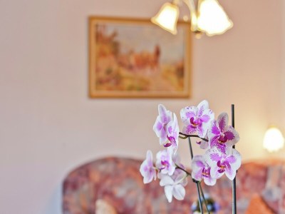 Apartment holiday home in the Thuringian Forest with roof - Outdoor photo 28