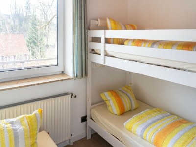 Apartment Ferienwohnung in Sankt Andreasberg im Harz - Features photo 22