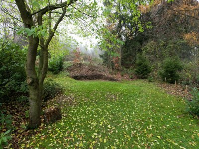 Apartment Apartment in Bad Grund near Harz Park - Outdoor photo 5