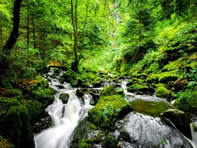 Holiday house Ferienhaus, Wernigerode - Environment photo 21