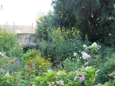 Holiday house Ferienhaus, Wernigerode - Environment photo 23