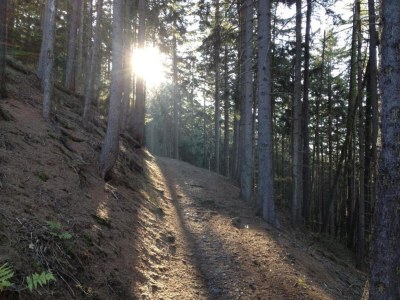 Holiday house Ferienhaus, Wernigerode - Environment photo 25