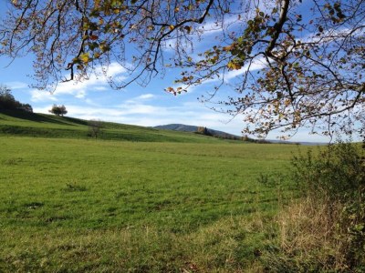 Holiday house Ferienhaus, Wernigerode - Environment photo 26