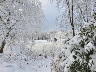 Holiday house Ferienhaus, Wernigerode - Environment photo 30