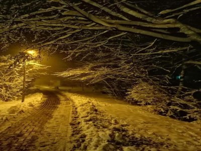 Holiday house Ferienhaus, Wernigerode - Environment photo 31