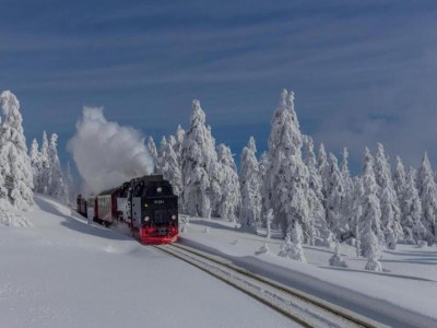 Holiday house Ferienhaus, Wernigerode - Environment photo 38
