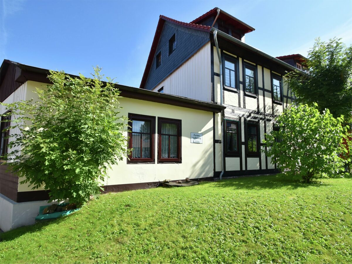 Holiday house Familienspaß & Waldwege in Ilsenburg - Outdoor photo 4