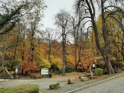 Holiday house Familienspaß & Waldwege in Ilsenburg - Environment photo 19