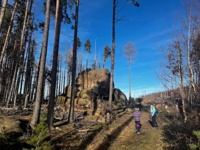 Holiday house Familienspaß & Waldwege in Ilsenburg - Environment photo 22