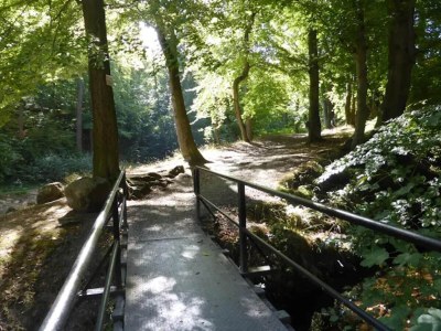 Holiday house Familienspaß & Waldwege in Ilsenburg - Environment photo 23