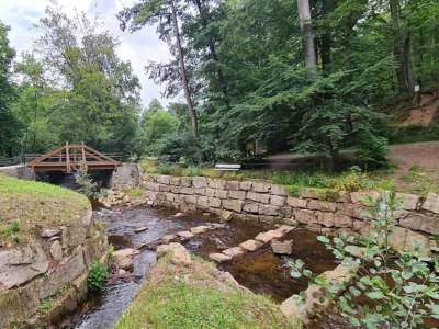 Holiday house Familienspaß & Waldwege in Ilsenburg - Environment photo 27