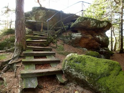 Holiday house Familienspaß & Waldwege in Ilsenburg - Environment photo 30