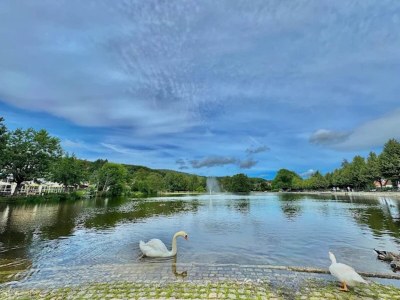 Holiday house Familienspaß & Waldwege in Ilsenburg - Environment photo 32