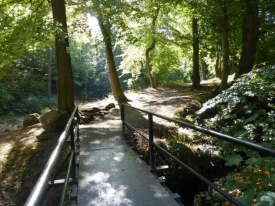 Holiday house Familienspaß & Waldwege in Ilsenburg - Environment photo 38