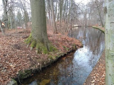 Holiday house Familienspaß & Waldwege in Ilsenburg - Environment photo 40
