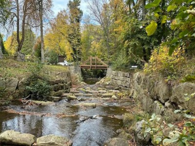 Holiday house Familienspaß & Waldwege in Ilsenburg - Environment photo 43