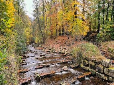 Holiday house Familienspaß & Waldwege in Ilsenburg - Environment photo 44