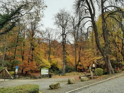 Holiday house Familienspaß & Waldwege in Ilsenburg - Environment photo 46