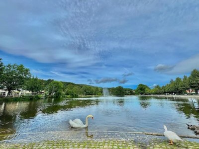 Holiday house Familienspaß & Waldwege in Ilsenburg - Environment photo 47