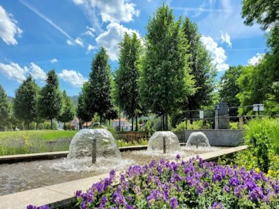 Holiday house Familienspaß & Waldwege in Ilsenburg - Environment photo 48