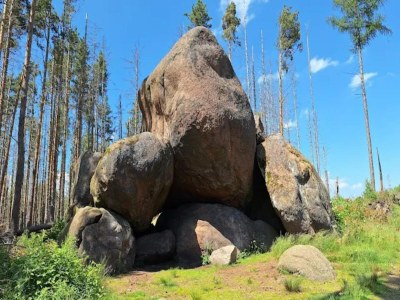 Holiday house Familienspaß & Waldwege in Ilsenburg - Environment photo 49