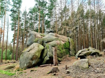 Holiday house Familienspaß & Waldwege in Ilsenburg - Environment photo 50