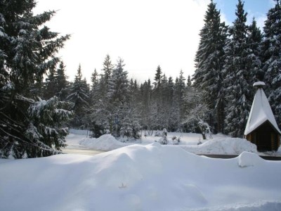 Holiday house Ferienhaus mit Wellnessbereich in Elend - Environment photo 25