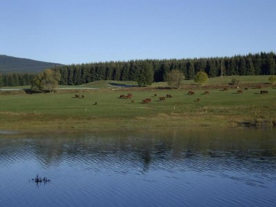 Holiday house Ferienhaus mit Wellnessbereich in Elend - Environment photo 26